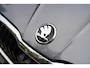 Skoda Fabia 1.0 TSI Business Edition | Automaat | Carplay | Camera