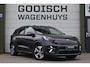 Kia Niro EV e-Niro DynamicPlusLine 64 kWh | 100% SOH | Schuifdak | Stoelverwarming | Camera |