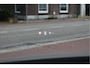 Mazda CX-30 2.0 e-SkyActiv-X M Hybrid Luxury 180 pk | NL-Auto | Open dak | HUD | BOSE | 360 gr.camera | Elekt.stoelen | Leder | Carplay | Full LED