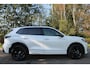 Volkswagen Tiguan 1.5 eHybrid R-Line Business | IQ | Pano | Trekhaak | 360° cam | Elek. klep