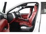 Porsche Cayenne 3.0 S E-Hybrid Platinum Edition |NAP|1e eigenaar|SportChrono|Pano|Memory