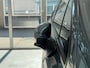 Peugeot 407 2.0-16V XS |Trekhaak|Airco|