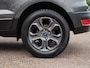 Ford EcoSport 1.0 EcoBoost 125PK Automaat Titanium | Carplay | Winter Pack | PDC