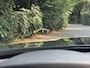 BMW M4 Competition, Carbon dak & int., Memory, CarPlay