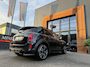 MINI Countryman 2.0 Cooper S ALL4 John Cooper Works F1 aut Estate Edition/Chester leer/Pano/Memory/Vol