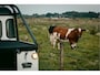 Land Rover Defender 110 TROPHY 2 Works V8 1of4 | 1 of 4 LHD Defender Trophy 2 Crew Cab | WARN |