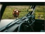 Land Rover Defender 110 TROPHY 2 Works V8 1of4 | 1 of 4 LHD Defender Trophy 2 Crew Cab | WARN |