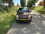 Fiat 500 1.4-16V byDiesel Pano Airco Pdc Voor En Achter Half Leder 1e Eigenaar
