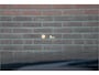 BMW 3-Serie 320i M Sport, Origineel NL, Panoramadak, Leder, 360 Camera, Stoel & Stuurverwarming, Full LED, Head-up, Park Assist.