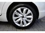 DS 5 1.6 Business Executive