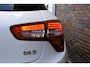 DS 5 1.6 Business Executive