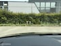 Audi RS3 2.5 TFSI RS 3 quattro