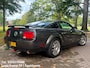 Ford Mustang USA 4.0 GT 500 SHELBY LOOK SVT VELGEN Achter Spoiler Airco Unieke Auto