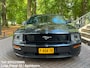 Ford Mustang USA 4.0 GT 500 SHELBY LOOK SVT VELGEN Achter Spoiler Airco Unieke Auto