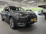 DS 3 Crossback 1.2 PureTech Business/ NL auto/ Afneembare trekhaak