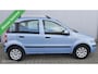 Fiat Panda 1.2 Edizione Cool