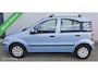 Fiat Panda 1.2 Edizione Cool