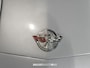 Chevrolet Corvette 5.7 V8 Convertible Two-Tone L-82 ANNIVERSARY EDITION 1 YZ 87