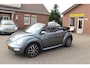 Volkswagen Beetle New Cabriolet 1.6 Turijn Elektrisch Cabrio Dak