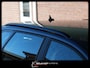 Audi A3 Sportback 1.4 TFSI Ambition Stoelverwarming Airco