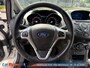 Ford Fiesta 1.0 Style | Nwe Distributie + WP | Gr. Beurt | APK 2027 | Historie Aanwezig