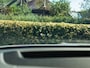 Mercedes-Benz GLE Coupé AMG 53 Hybrid 4MATIC+ Premium Plus