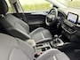 Ford Focus 1.0 EcoBoost Trend Edition Business / NAVI / CRUISE / TREKHAAK / 127dkm! NAP!