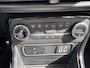 Ford EcoSport 1.0 EcoBoost ST-Line Black 125pk | Winterpack | SYNC 3 Navigatie | Achteruitrijcamera | Zwart dak |
