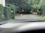 BMW Z4 Roadster M40i, H/K, Memory, Head-up, H/K