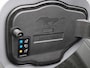 Ford Mustang Mach-E RWD 75 kWh Aut. | Leder | Winterpack | Navigatie | B&O Soundsystem | apple carplay | Elek.stoelen