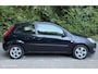 Ford Fiesta 1.3-8V Futura XL Trekhaak Clima PDC