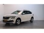 Skoda Kamiq 1.0 TSI Ambition Navigatie Trekhaak Climate Control App-Connect DAB+