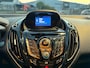 Ford B-Max 1.0 EcoBoost Titanium Clima,Panodak,Led