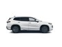 Volkswagen Tayron 1.5 TSI eHybrid 204PK DSG HYBRID ELEGANCE 360°CAMERA/TREKHAAK/IQ.LIGHT/KEYLESS