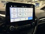 Ford Fiesta EcoBoost 100pk Titanium | Winterpack | Cruise control | LED | Climate control | Parkeersensoren achter | Apple carplay & Android Auto |