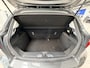 Ford Fiesta EcoBoost 100pk Titanium | Winterpack | Cruise control | LED | Climate control | Parkeersensoren achter | Apple carplay & Android Auto |