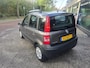 Fiat Panda 1.2 Actual | 1E EIGENAAR | 3/6 OF 12MND GARANTIE | LAGE KM | NW APK | NETTE AUTO |