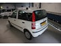 Fiat Panda 1.2 KOUDE AC + NIEUWE APK 9 2027 ! ! !
