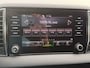 Skoda Karoq 1.5 TSI ACT Business Edition, trekhaak, stoelverwarming, navigatie, climaat controle