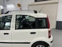 Fiat Panda 1.2 EDIZIONE COOL, Airco, carplay, all season
