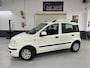 Fiat Panda 1.2 EDIZIONE COOL, Airco, carplay, all season