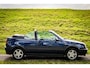 Volkswagen Golf Cabrio 2.0 Avantgarde |Nap |Dak Elektrisch!