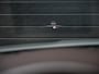 Porsche Cayenne Coupé 3.0 E-Hybrid | Sport Design | Panoramadak | 18-Wegs Memory Seats | NL-Auto | Dealeronderhouden | Achterasbesturing | Luchtvering | Bose | 360 Camera | HUD | Soft Close | Ambiance Interieur | Sport Chrono |