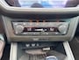 SEAT Ibiza 1.0 TSI FR Business Intense PANO/AUTOMAAT/CRUISE