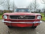 Ford Mustang CONVERTIBLE 200 Convertible T Code!