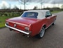 Ford Mustang CONVERTIBLE 200 Convertible T Code!