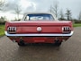 Ford Mustang CONVERTIBLE 200 Convertible T Code!