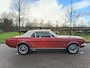 Ford Mustang CONVERTIBLE 200 Convertible T Code!