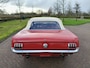 Ford Mustang CONVERTIBLE 200 Convertible T Code!