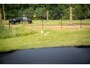Audi Q8 60 TFSI e quattro Pro Line S Competition , Luchtvering, Panoramadak, HUD, Stuurverwarming